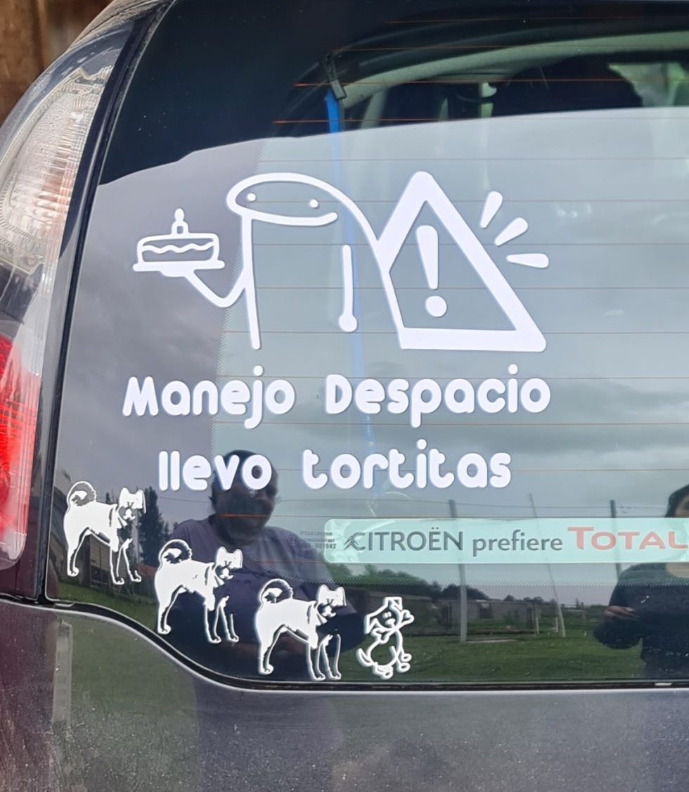 STICKERS EN VINILO PARA AUTOS
