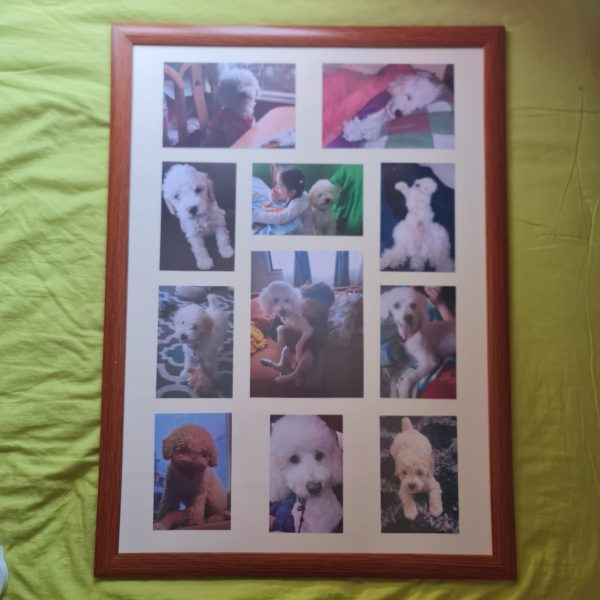 CUADRO PERSONALIZADO - Imagen 5