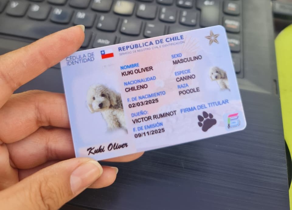CARNET PARA MASCOTAS