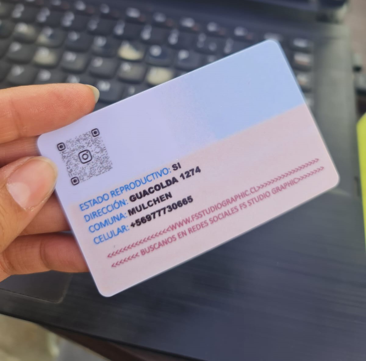 CARNET PARA MASCOTAS - Imagen 2